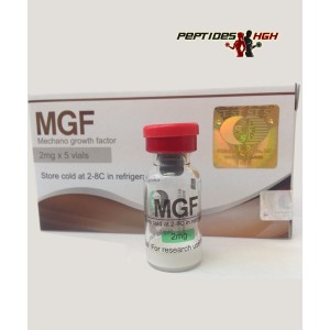 MGF (механический фактор роста)