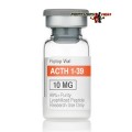 ACTH 1-39 (10 мг)